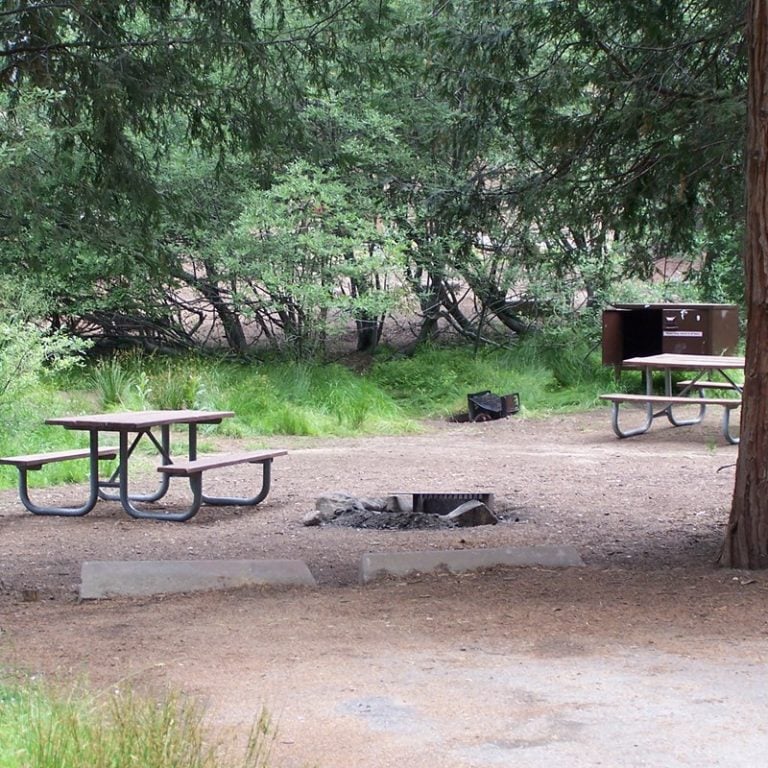 7 Spots for the Best Camping in Kings Canyon National Park