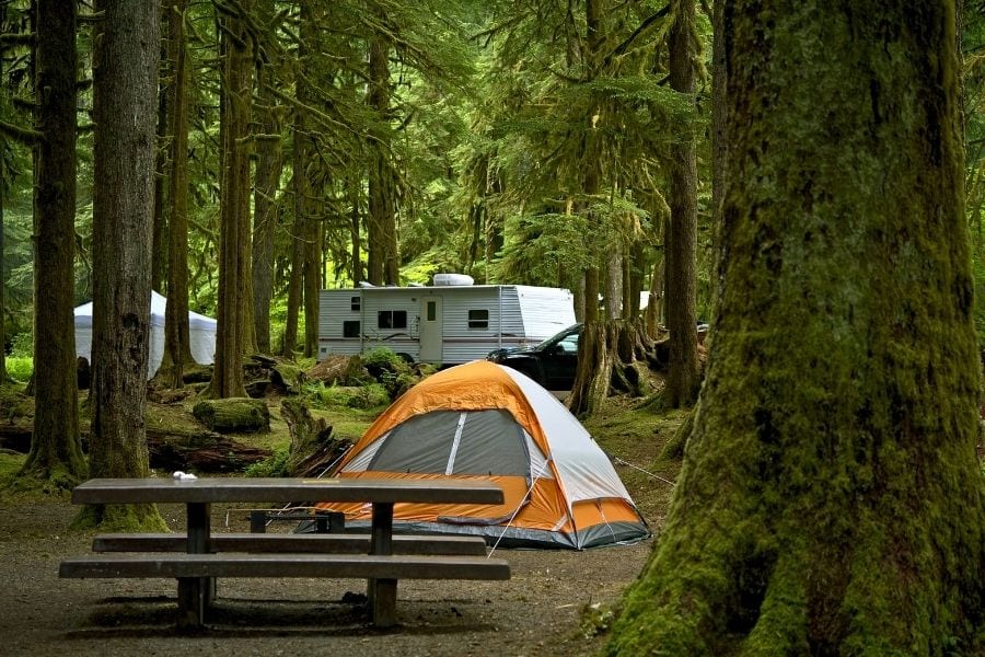 58 Insanely Useful Camping Tips For Beginners Useful Camping Tips For Beginners, What Size Are Campground Picnic Tables