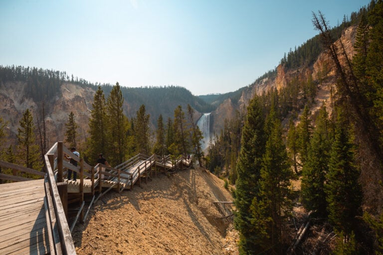 Lower Falls from Red Rock Point in Yellowstone National Park