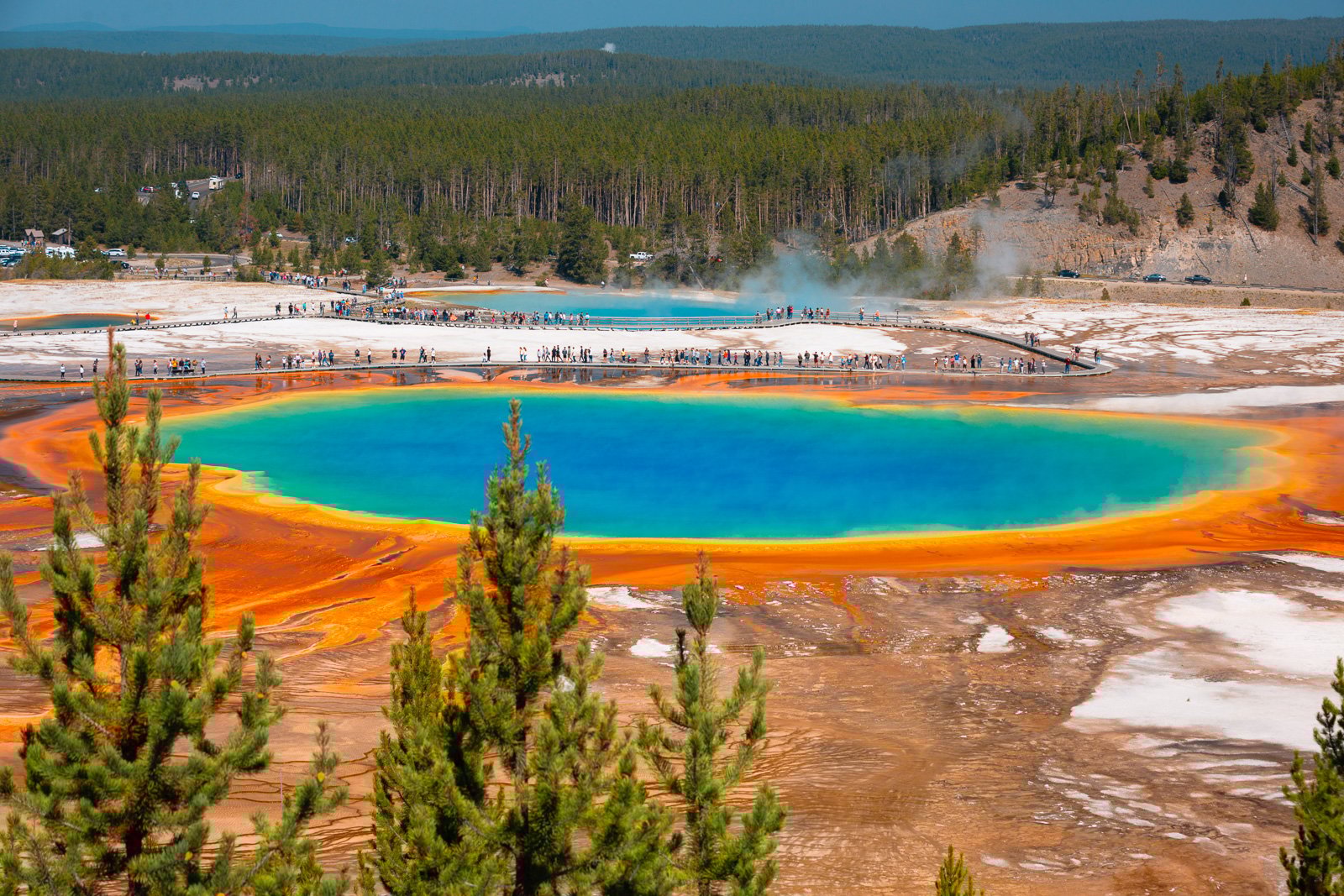 Overlook of Grand Prismatic Spring in Yellowstone National Park