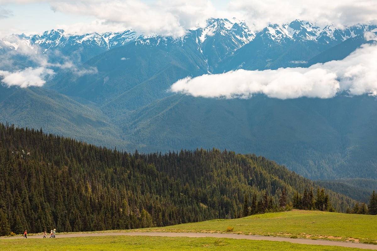 Must See Olympic National Park A Treasure Trove of Biodiversity and Natural Wonders
