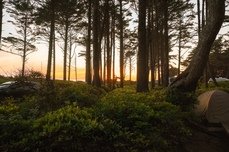 Olympic national park well planned journey
