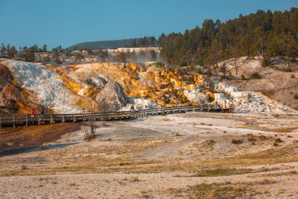 Lower Terraces in Mammoth Hot Springs in Yellowstone National Park
