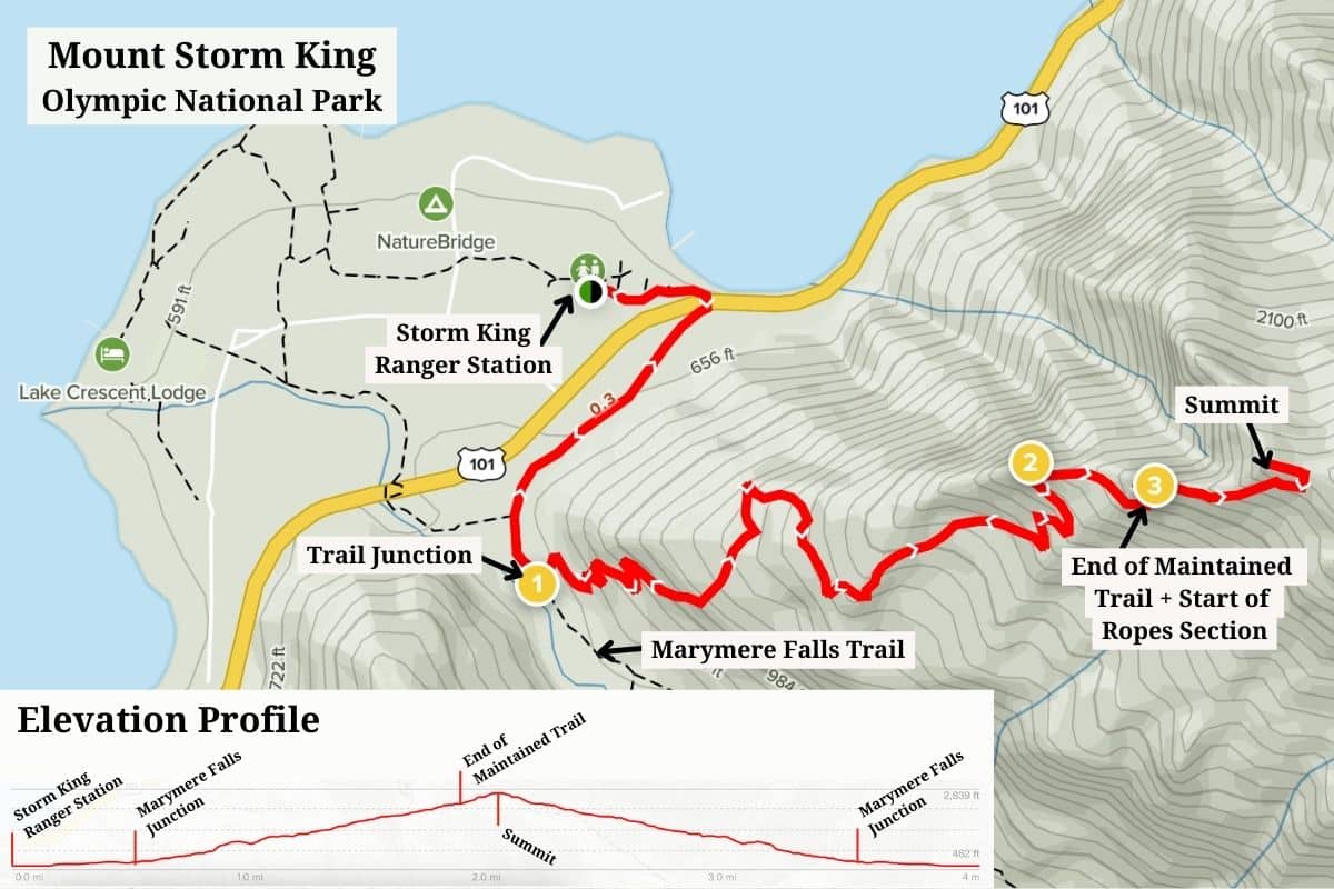 How to Hike Mount Storm King in Olympic National Park