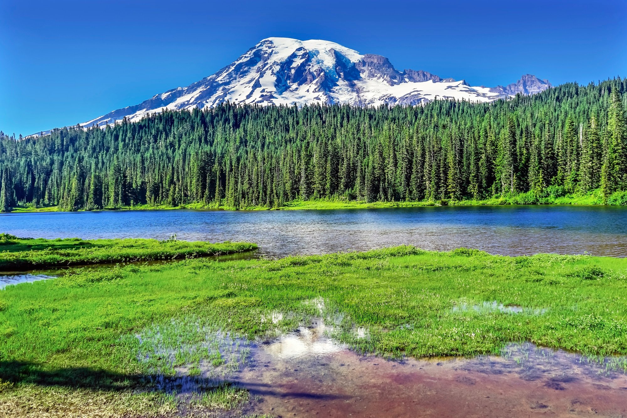 The Perfect Seattle to Mount Rainier National Park Day Trip