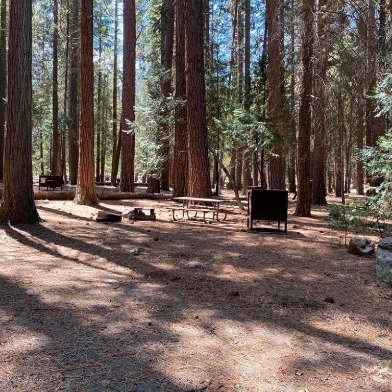 7 Spots for the Best Camping in Kings Canyon National Park