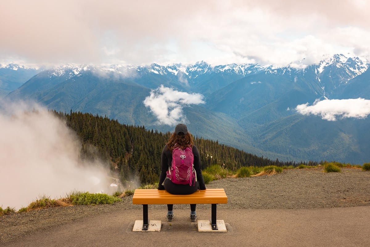 Olympic Rainforest Hikes – Exploring the Best Trails